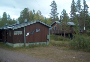Allafåglar
